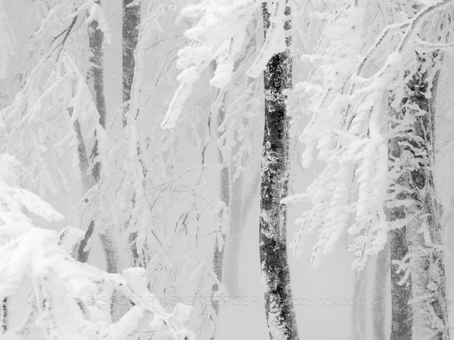 The Misorano * Hakuba