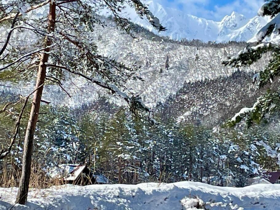The Misorano * Hakuba